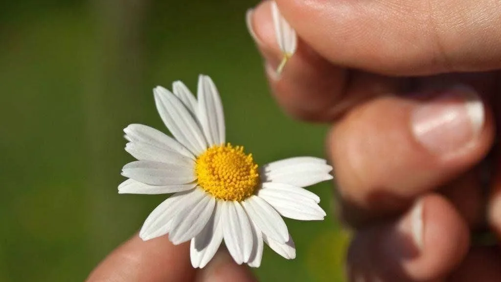 Александр Макаров