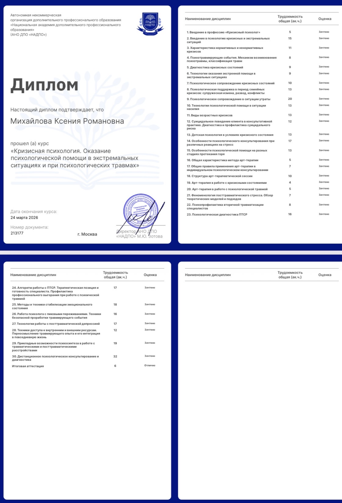 diplom-1